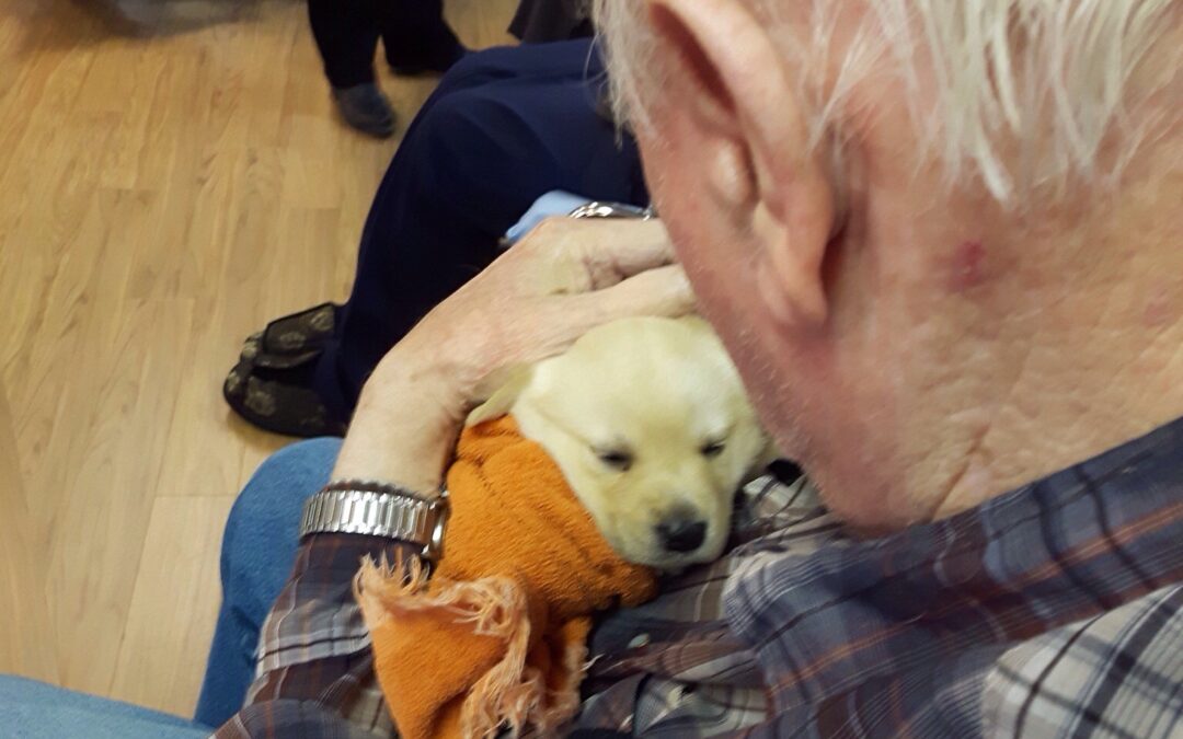 Rescued pups bring joy to long-term care residents