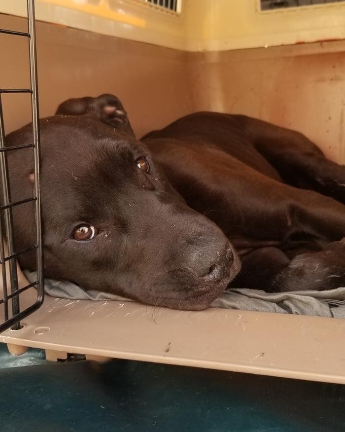 Help came too late for Duke