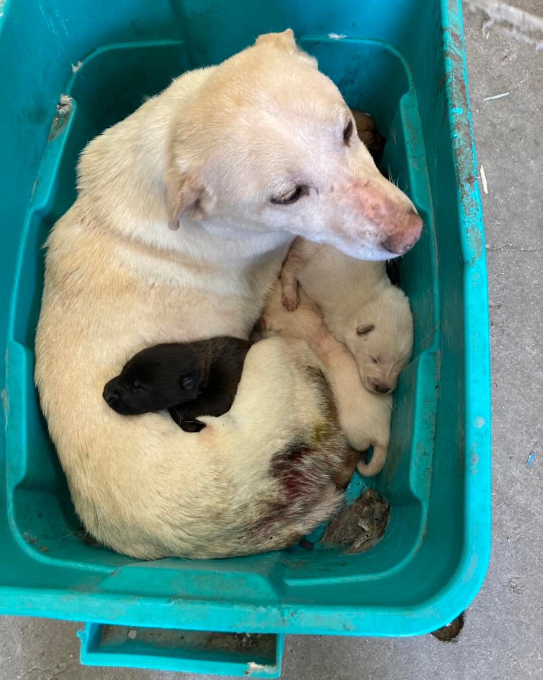 A mother’s instinct