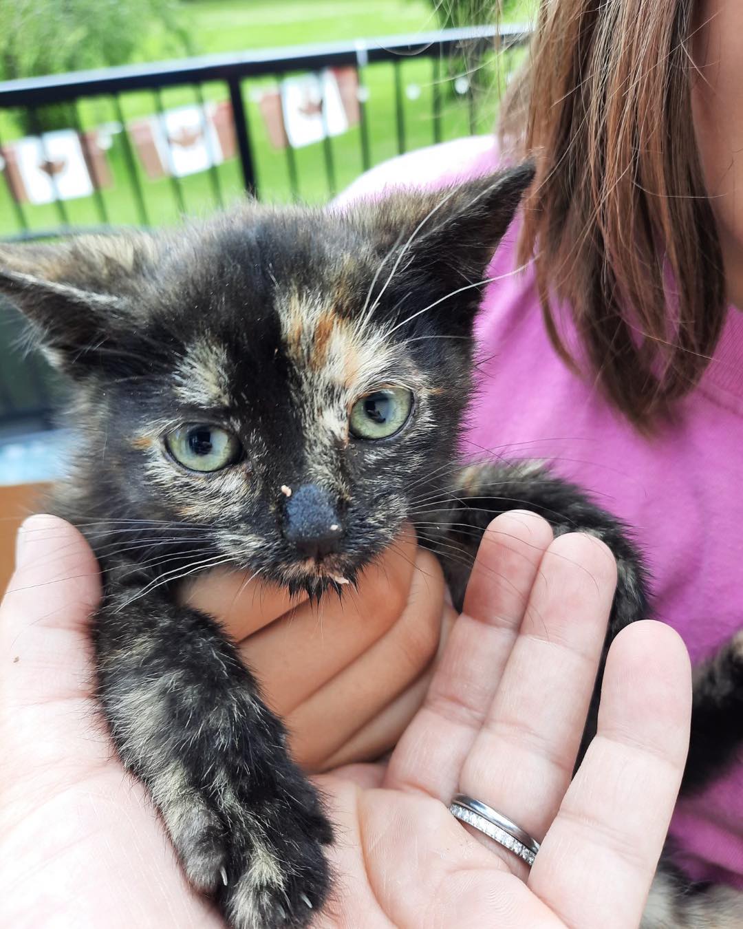 Spunky needed urgent care