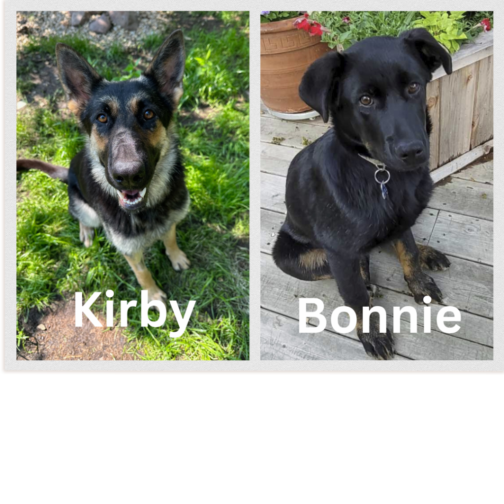 Kirby and Bonnie were dumped on a roadside