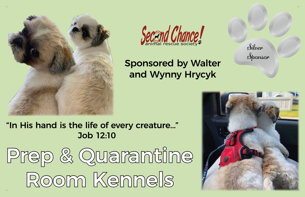 13353-Silver-Sponsorship