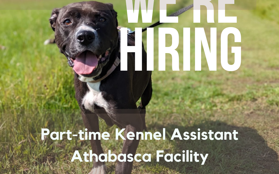 Part-time Kennel Assistant (Athabasca)
