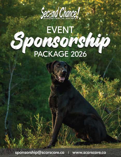 2026-Sponsor-Pkg