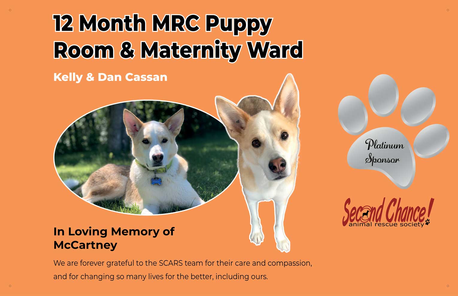 Cassan-MRC-Puppy-Room
