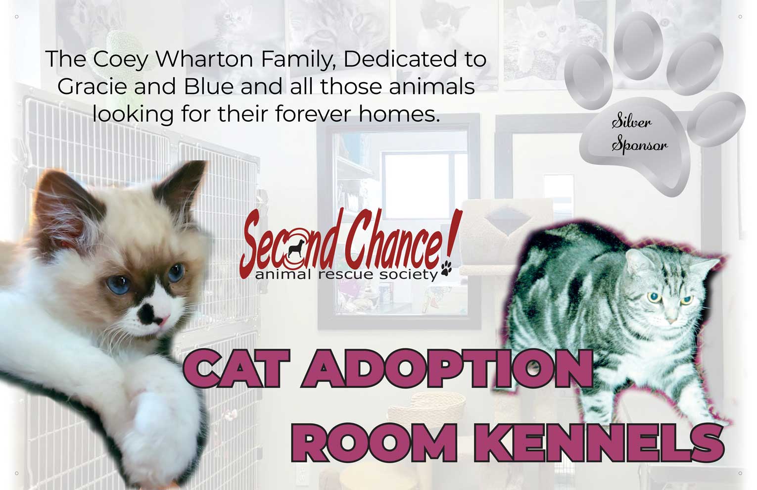 Shannon-Wharton-Cat-Adoption-Room