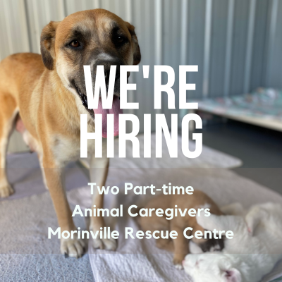 Part-time Animal Caregiver (Morinville Rescue Centre)